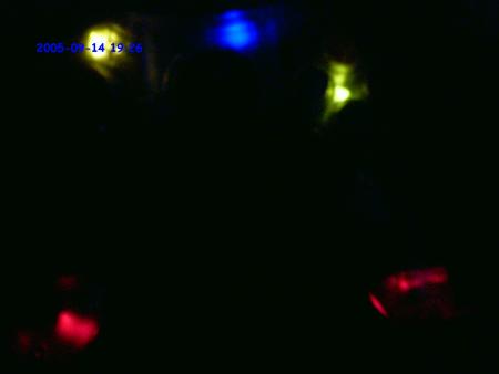 ma manette dan la nuit 2