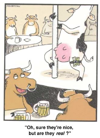 vach foll